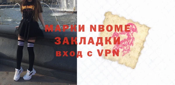 дмт Пересвет