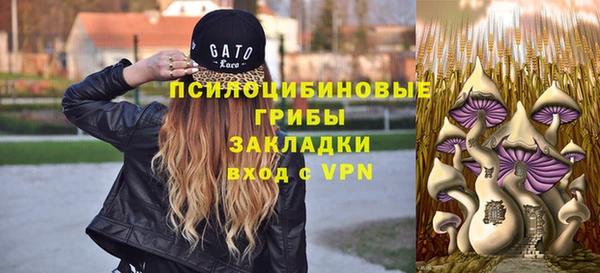 2c-b Пестово