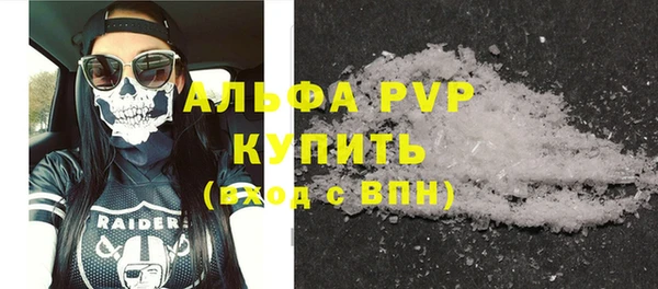дмт Пересвет