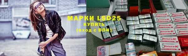 спайс Покачи