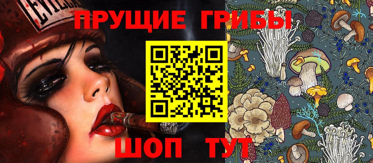 Волжский  Псилоцибиновые грибы прущие грибы  закладки  Вход с VPN  Псилоцибиновые грибы Psilocybe 
