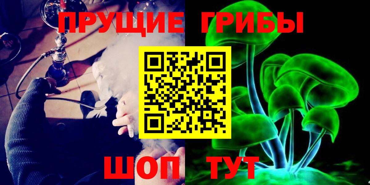 где купить   Волжский  Галлюциногенные грибы Psilocybe  Псилоцибиновые грибы Cubensis 